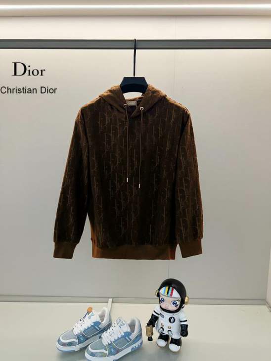 Picture of Dior Hoodies _SKUDiorXS-L24cr932697